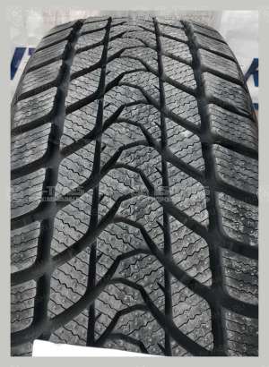 Delinte Winter WD1 235/45 R17 97T