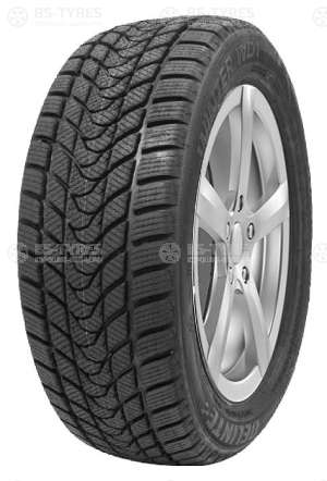 Delinte Winter WD1 235/45 R17 97T