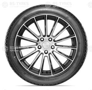 Doublestar DW02 245/55 R19 103T