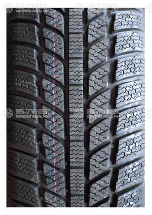 Evergreen Winter EW62 185/70 R14 88H