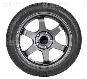 Maxxis WP-05 Arctic trekker 165/65 R15 81T