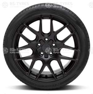 Nexen N`Fera SU1 255/30 R19 91Y