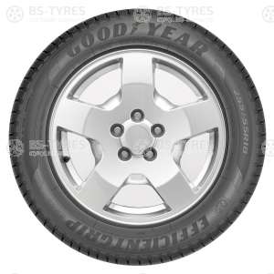 Goodyear EfficientGrip RunFlat 245/45 R19 102Y