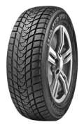 Delinte Winter WD1 245/45 R19 98S